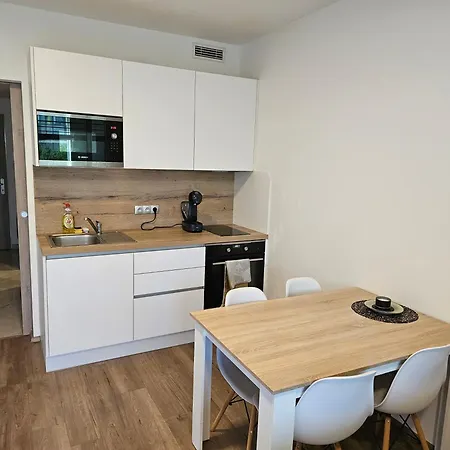 Apartmán Centre Luxury & Parking Praha