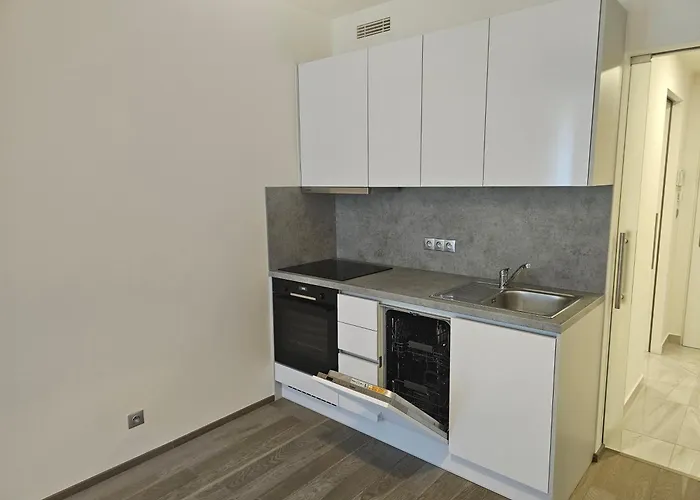 Centre Luxury & Parking Praga
